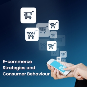 E-commerce Strategies and Consumer Behaviour